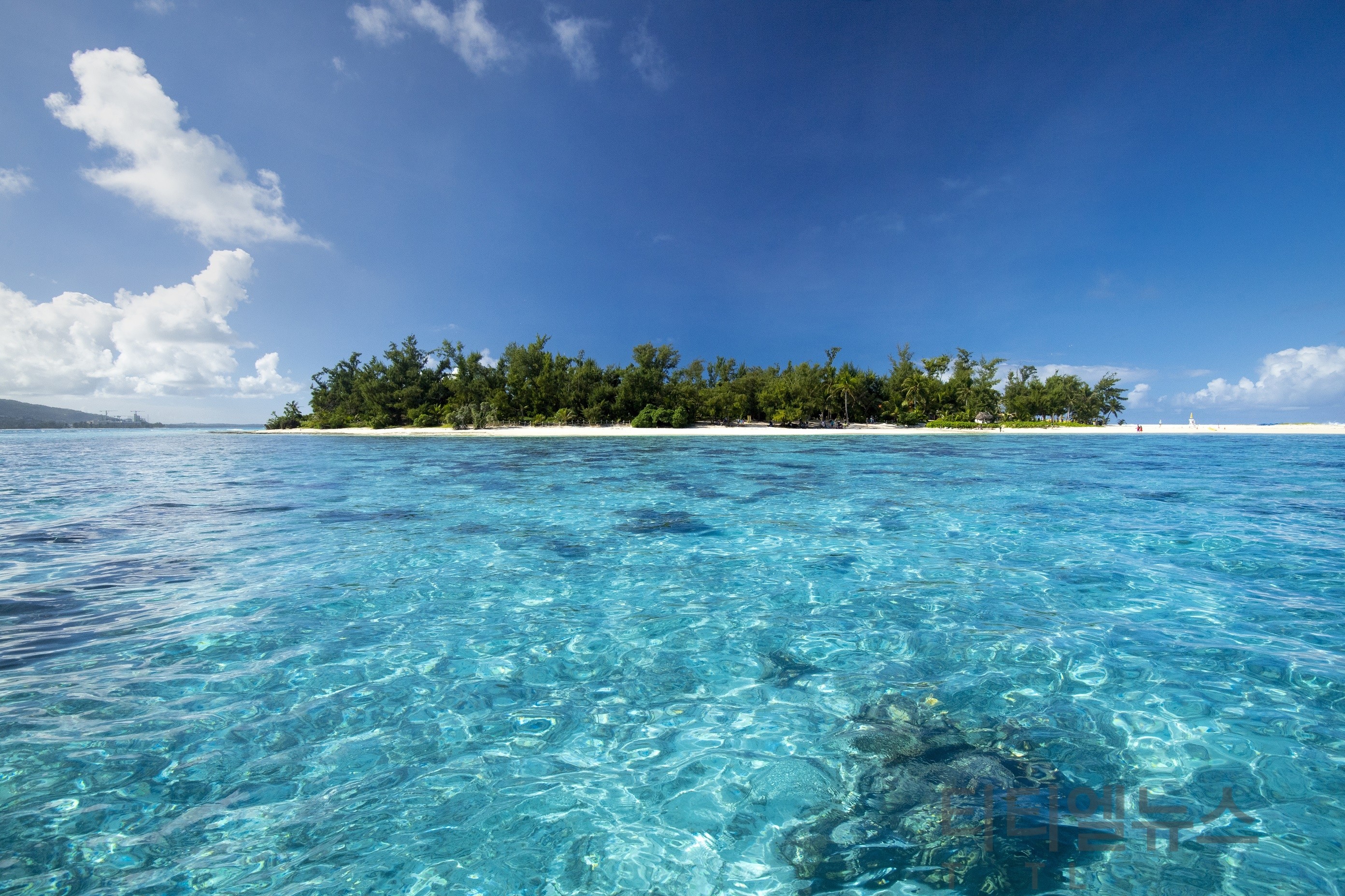 SBS 스토브리그 출연•제작진 마리아나제도 사이판으로 포상휴가 떠난다 < 엔터테인먼트 < Culture < 기사본문 -  퍼블릭뉴스통신(Public news-network for TTL)