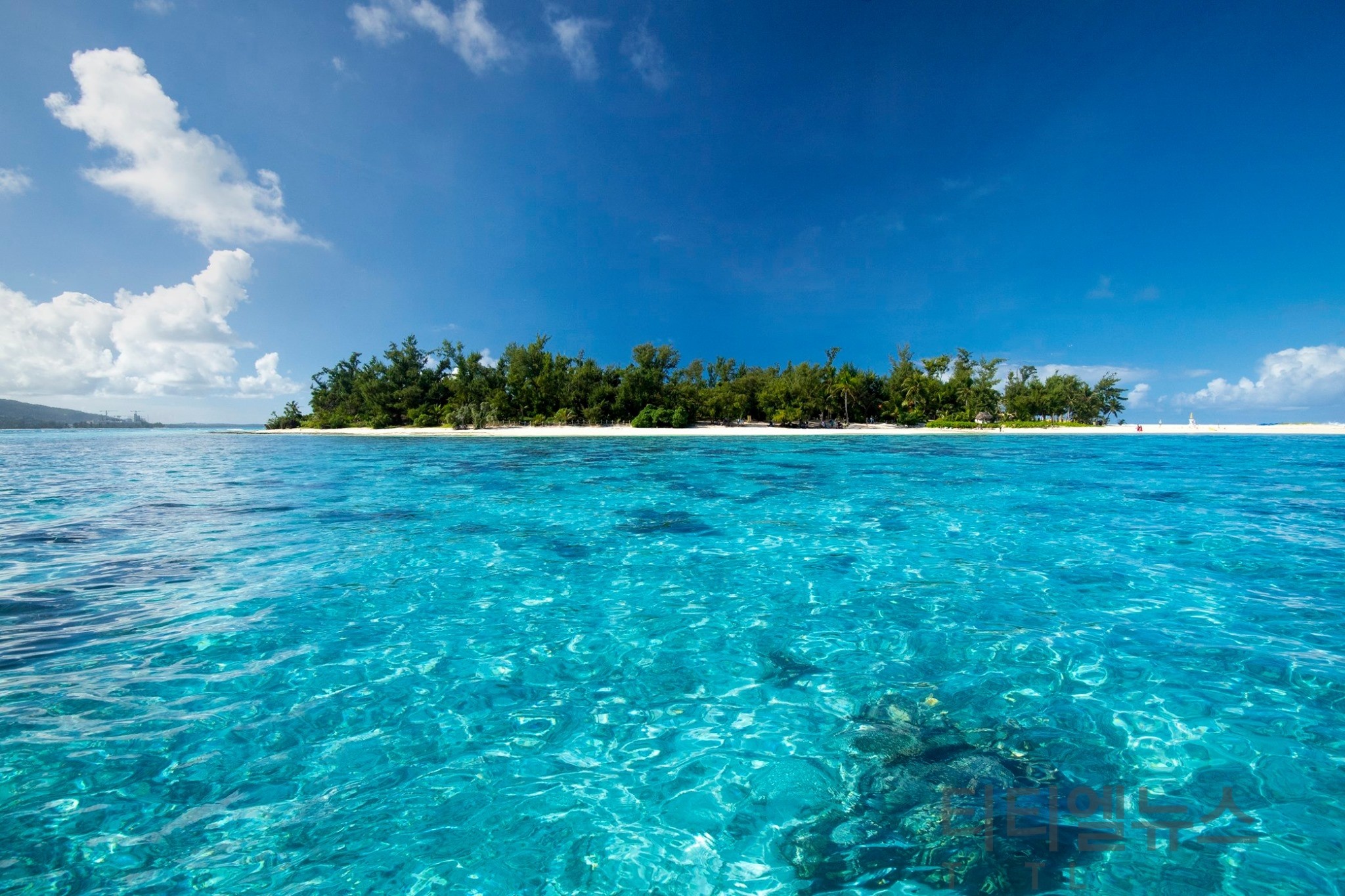 북마리아나 제도(사이판) 주지사, 한국 시장 강화 위해 서울 방문 < 트랜드·이슈 < Travel < 기사본문 -  퍼블릭뉴스통신(Public news-network for TTL)