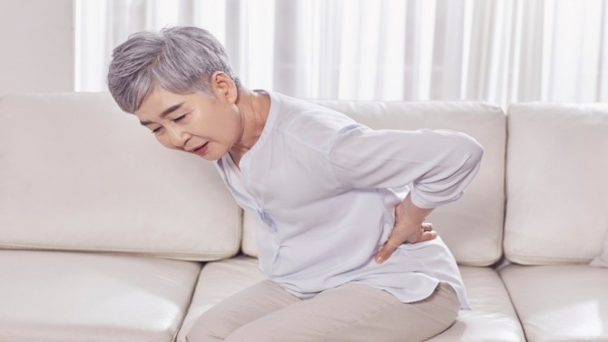 '요통'으로 인한 허리 디스크·척추관 협착증·전방 전위증 구별법