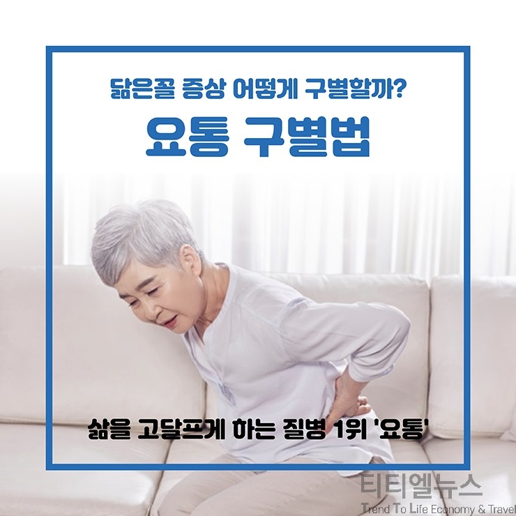'요통'으로 인한 허리 디스크·척추관 협착증·전방 전위증 구별법
