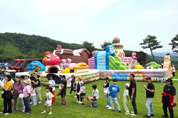 서원밸리 그린콘서트에서는 다양한 체험 프로그램을 선사해 관람객을 즐겁고 행복한 시간으로 만들어 주었다. 페이웨이에 설치된 에어놀이시설에 어린이를 동반한 가족단위 관람객들이 많이 몰렸다