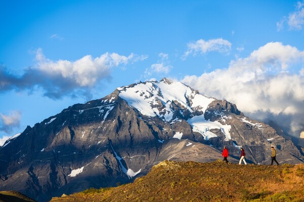 [사진=프린세스 크루즈]