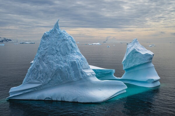 [사진=프리세스 크루즈] 