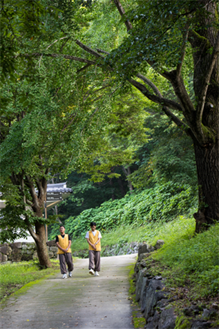 경북 안동 봉정사 템플스테이 [사진=한국불교문화사업단]