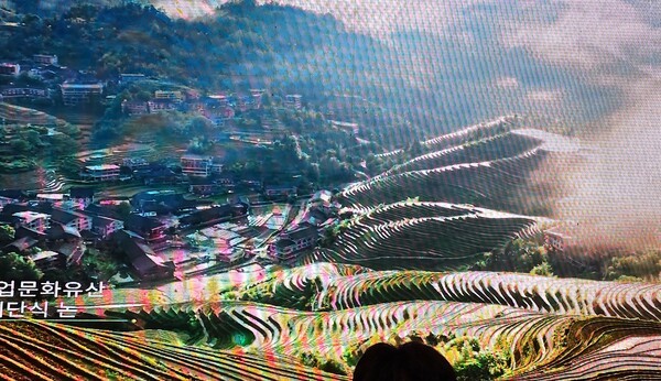 광시 문화관광 홍보 영상 캡쳐 [사진=이상인 편집위원]