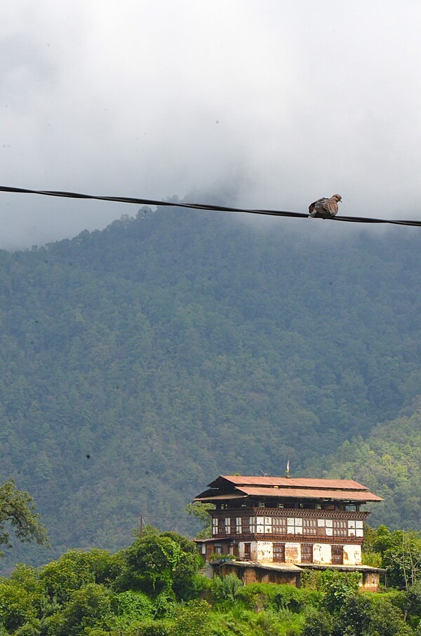 평화로운 부탄의 시골 모습 [사진=이상인 편집위원] 