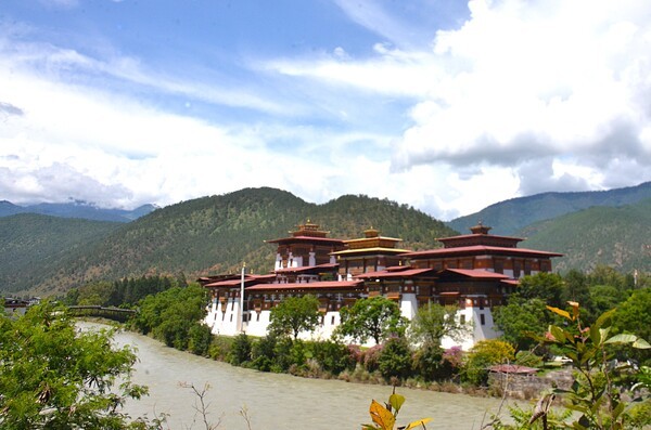 부탄의 아름다운 도시 푸나카에 위치한 푸나카 종 모습 [사진=이상인 편집위원]