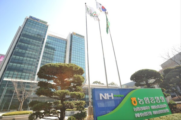 NH농협금융, 2025년 당기순이익 2조 5112억원 달성 - 뉴스 썸네일 이미지