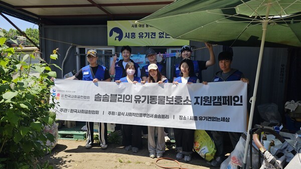언론 보도