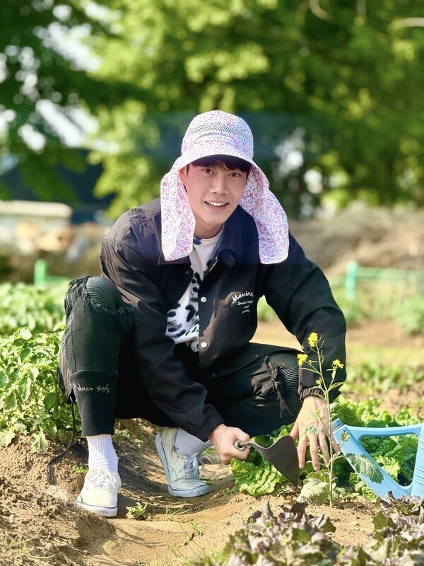 언론 보도