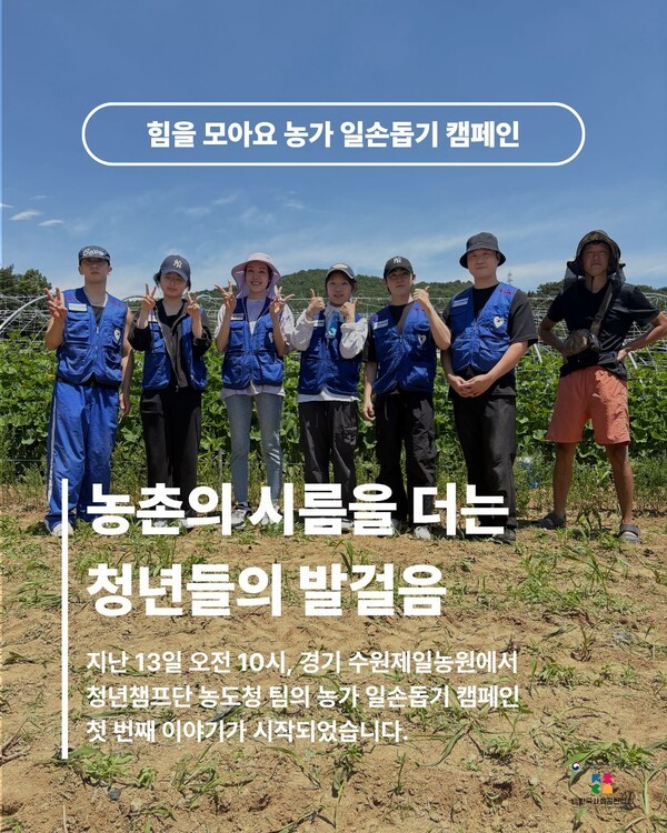 언론 보도