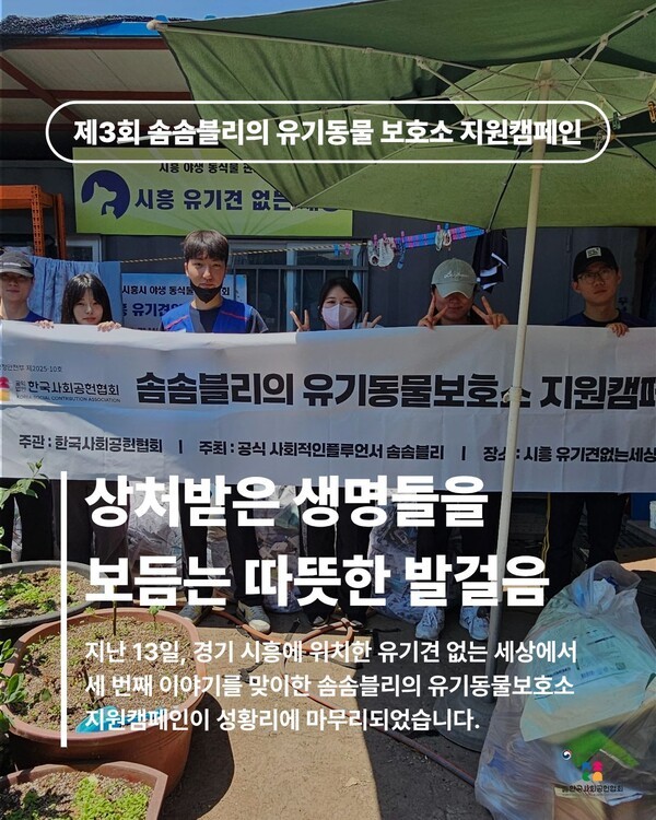 언론 보도