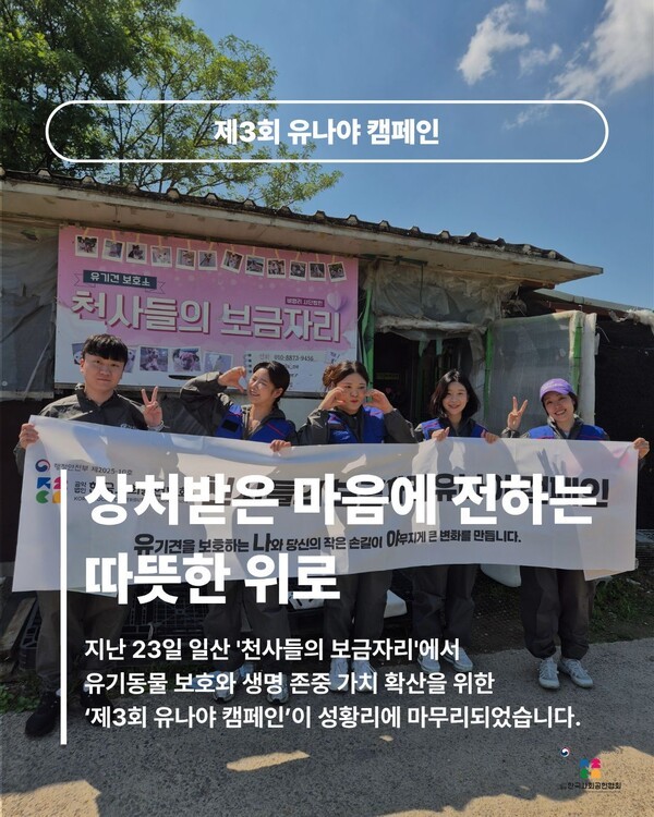 언론 보도