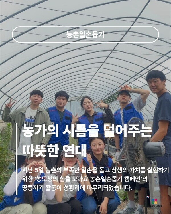 언론 보도