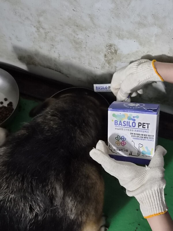 언론 보도
