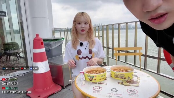 언론 보도