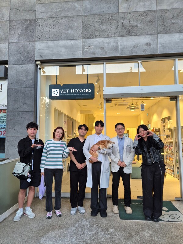언론 보도