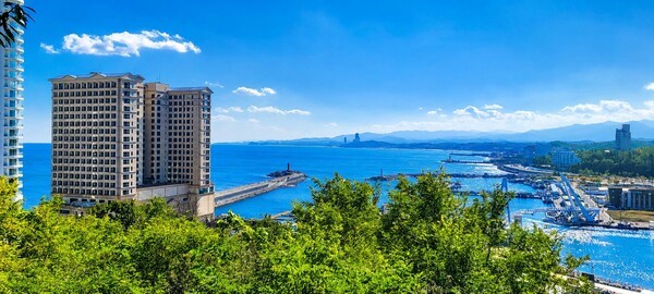 언론 보도
